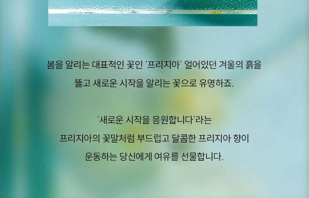 [시트러스향/인기] 꾸까 슈가 캔들 200g 시트론 유자향 상세페이지 32